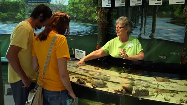 aquarium touch tank