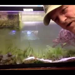 Zoologist Allen Collins, a light-skinned man wearing a tan baseball cap and leaning next to a fish tank.