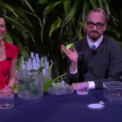 Maggy Benson and Dan Babbit sit at a table with various insects in acrylic boxes, including some very large ones.