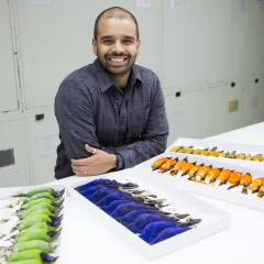 Sahas Barve with colorful bird skins