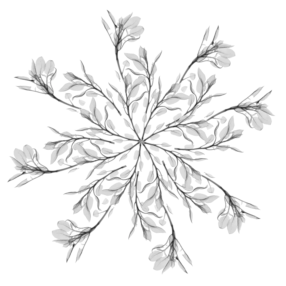 a gray large snowflake 