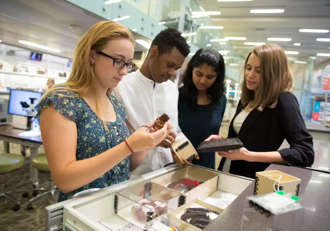 Students examine Museum collection objects as part of a Q?rius school program. Photo by Jennifer Renteria, Smithsonian.