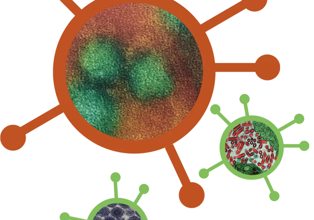 images of diseases on top of vector circles