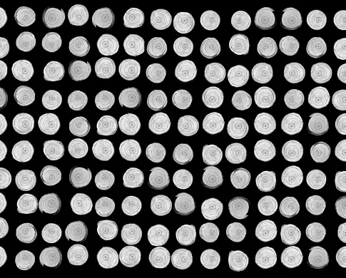 black background with white several white spirals in a grid 