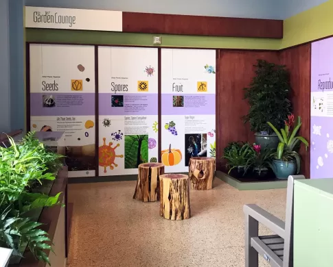 view of lounge with three tree stump seats and a wall of plant information 