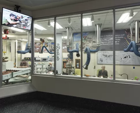 image of three paleontologists preparing fossils in a lab