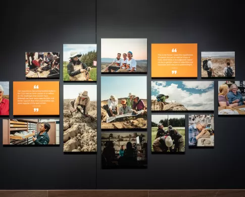 a collage panel of text and images on a black exhibit wall