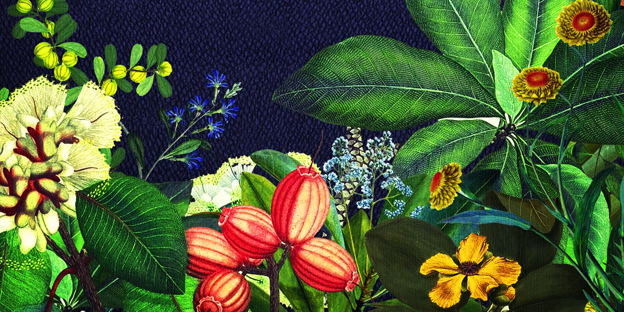 blue background with vibrant colored plants: green leaves with red, yellow, and blue flowers 