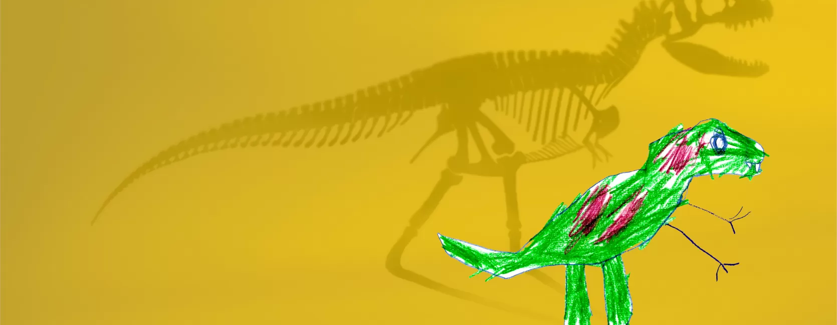 a drawing of a T. Rex with a skeleton shadow