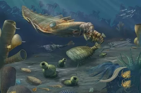 Illustration of animals near the ocean floor 510 million years ago. A large squid-like creature hovers over smaller organisms.