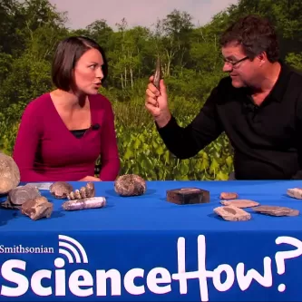 A woman in a red shirt and man in a black shirt sitting at a table with plant and animal fossils. He is holding a fossil.