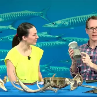 A woman in a yellow shirt and a man in a plaid shirt sit at a table with antlers and other objects on it. 