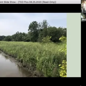 A waterway with tall, green marsh grass next to it and trees in the background