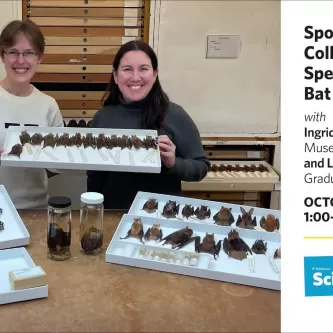 Text reads Spooky Collections and Spectacular Bat Adaptations, next to a photo of two women holding a tray of bat specimens