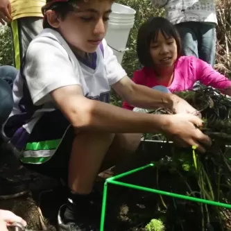 A boy pull plants out of a biocube to put them in an aluminum tray the girl next to him is holding.