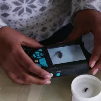 A student holds a small camera over a dish with an insect in it.