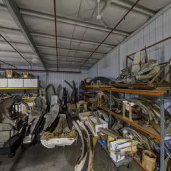 Whale bones stored at the Museum Support Center