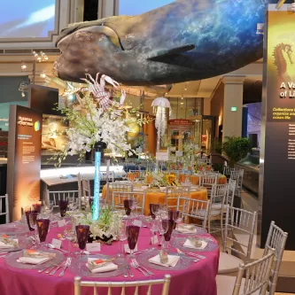 Ocean Hall Event