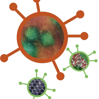 images of diseases on top of vector circles