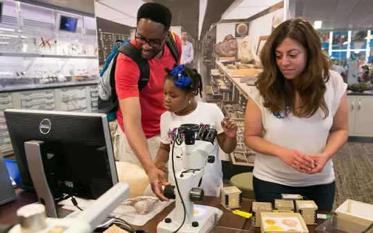 A girl uses a microscope to look at a collection object in the Q?rius education center. A man helps her with the microscope.