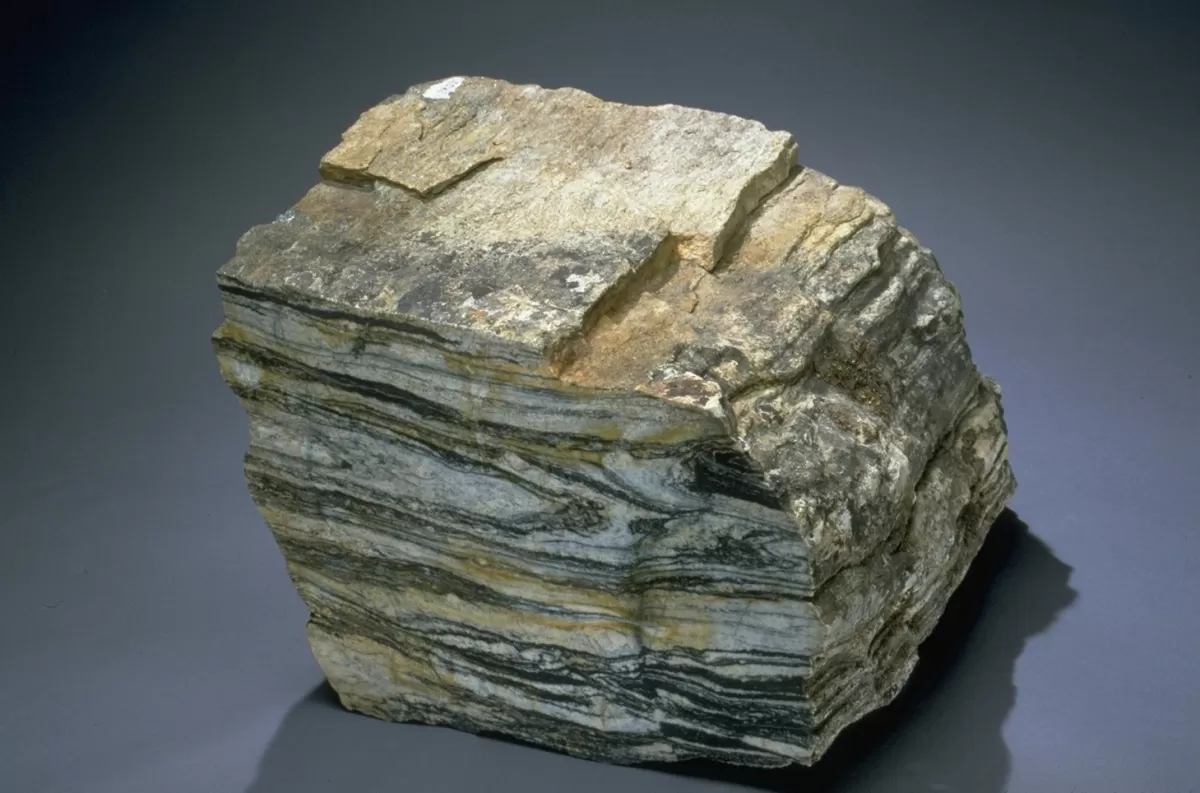 A banded tonalitic gneiss