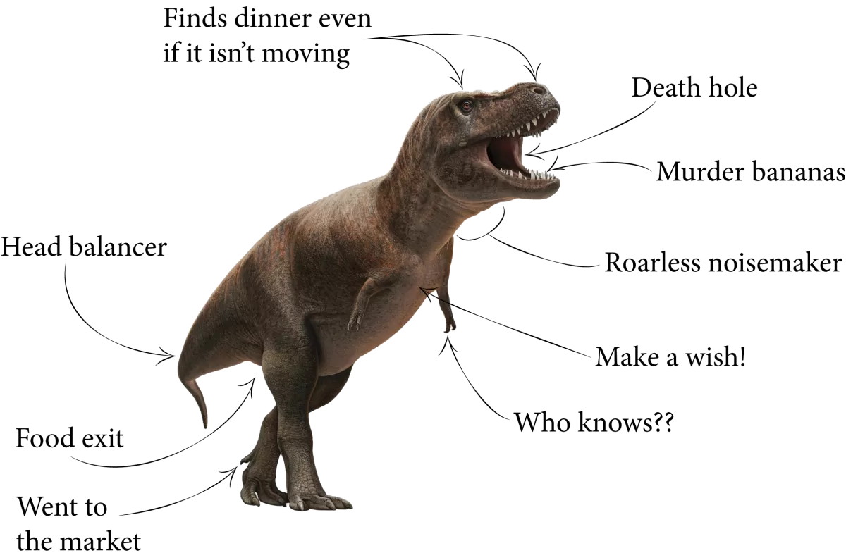 A Tyrannosaurus rex model with unscientific descriptions of its anatomy. 