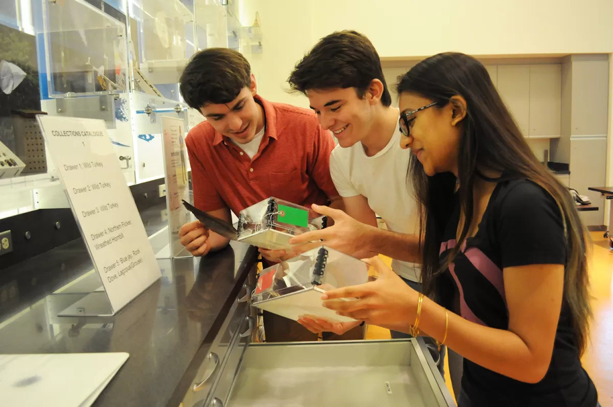 Two teenage boys and a girl standing next to a counter while holding and looking at two plastic boxes and a feather.