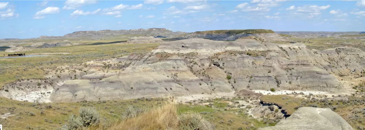 Landscape of striped, sedimentary rock formations sticking up out of grassland.