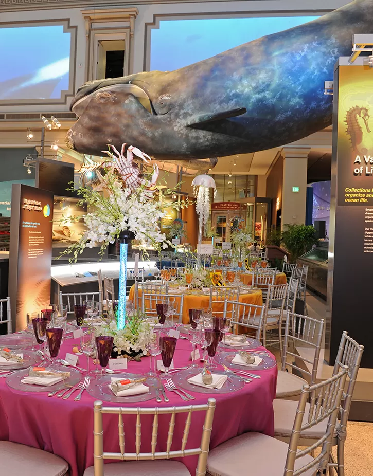 NMNH Ocean Hall transformed for an event