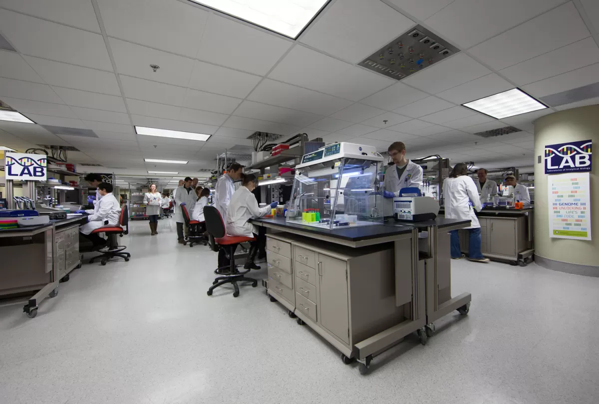 Photograph of scientists working in a LAB space