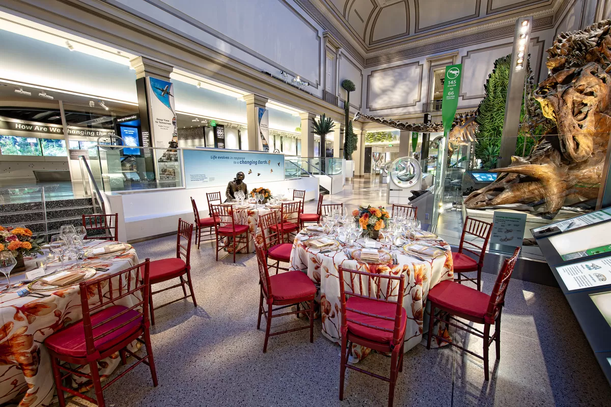 Tables set for dinner in the fossil hall with white and red floral tablecloths. 