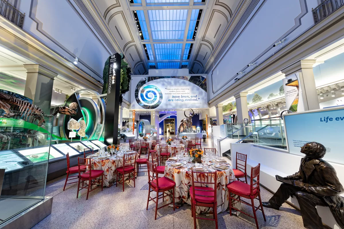 Tables set for dinner in the fossil hall with white and red floral tablecloths. 