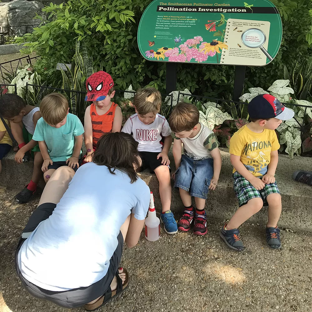 Six young children sitting on a curb in front of a green garden.