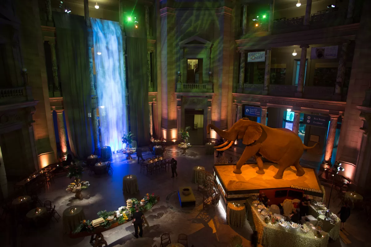 Amazon Adventure reception in Rotunda with waterfall (virtual waterfall?) in background